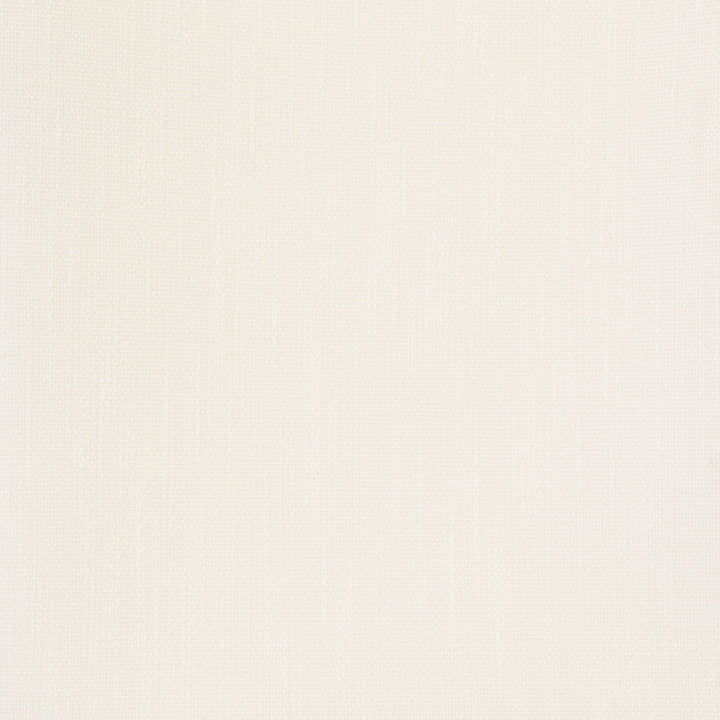 B8493 Snow by Greenhouse Designer Fabric 100% Polyester China 100,000 double rubs </p><p>Repeat: None 54" - Swanky Fabrics -