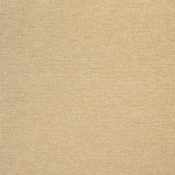 B8525 Fawn by Greenhouse Designer Fabric 100% Polyester China 50,000 double rubs </p><p>Repeat: NONE 54" - Swanky Fabrics -