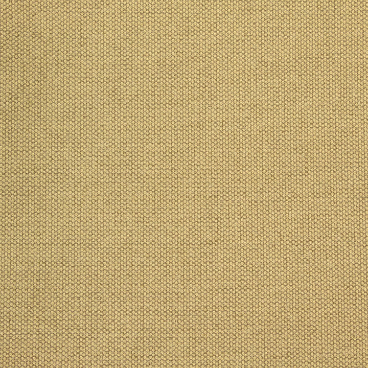 B8581 Camel by Greenhouse Designer Fabric 100% Polyester China 50,000 double rubs </p><p>Repeat: NONE 54" - Swanky Fabrics -