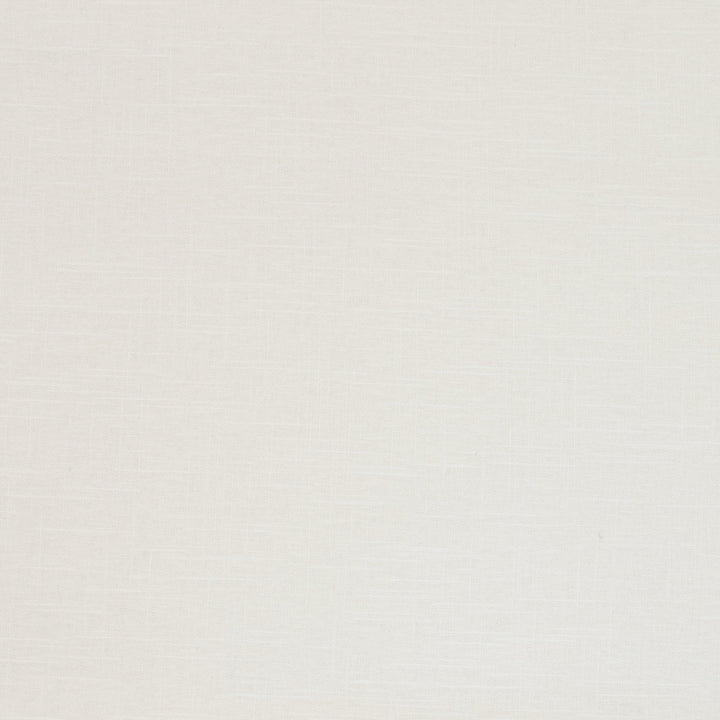 B9666 Antique White by Greenhouse Designer Fabric 55% Linen, 45% Viscose Korea 12,000 double rubs </p><p>Repeat: None 54" - Swanky Fabrics -