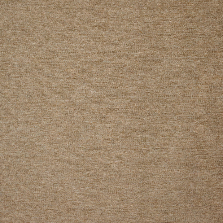 B9740 Sand by Greenhouse Designer Fabric F07: Value Plush 100% Polyester China 105,000 double rubs </p><p>Repeat: None 57" - Swanky Fabrics -