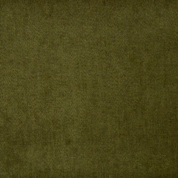 B9883 Grass by Greenhouse Designer Fabric F07: Value Plush 100% Polyester China 60,000 double rubs </p><p>Repeat: None 56" - Swanky Fabrics -
