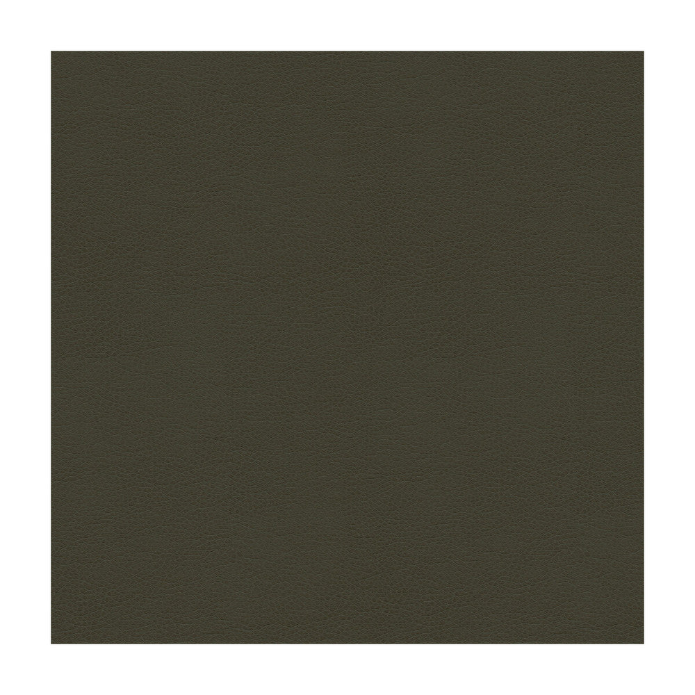 Balara-21 by Kravet Contract Designer Fabric - POLYURETHANE - 100% China HEAVY Horizontal: - and Vertical: - 55 - Swanky Fabrics -