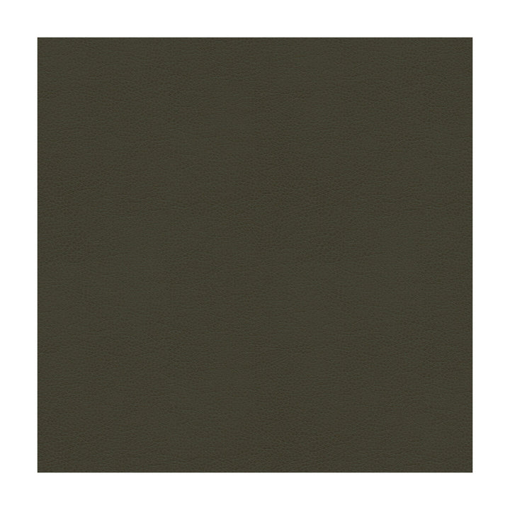 Balara-21 by Kravet Contract Designer Fabric POLYURETHANE - 100% China HEAVY Horizontal: and Vertical: 55 - Swanky Fabrics -