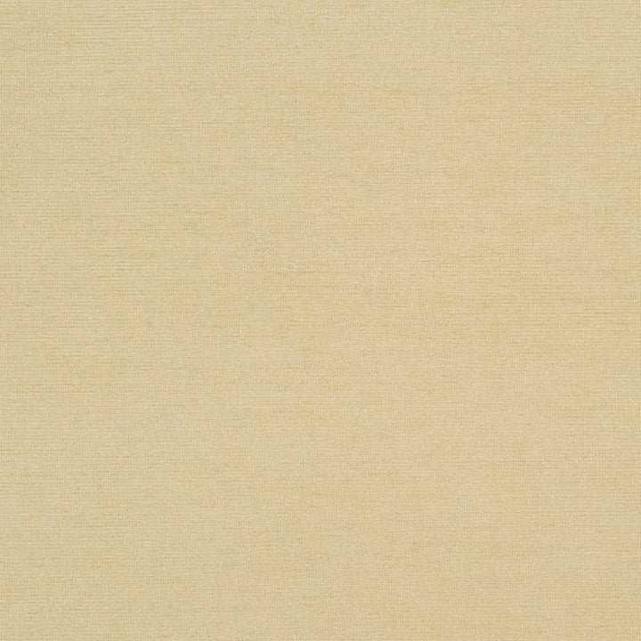 Bancroft 71J7031 by JF Crypton Designer Fabric Crypton Binder 100% Polyester United States 50000 Horizontal: and Vertical: 54 - Swanky Fabrics -