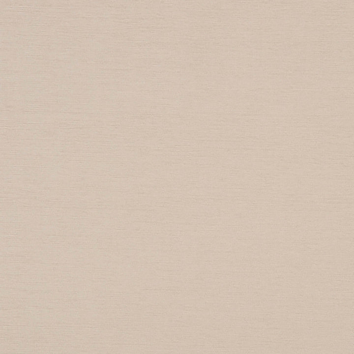 Bancroft 92J7031 by JF Crypton Designer Fabric Crypton Binder 100% Polyester United States 50000 Horizontal: and Vertical: 54 - Swanky Fabrics -