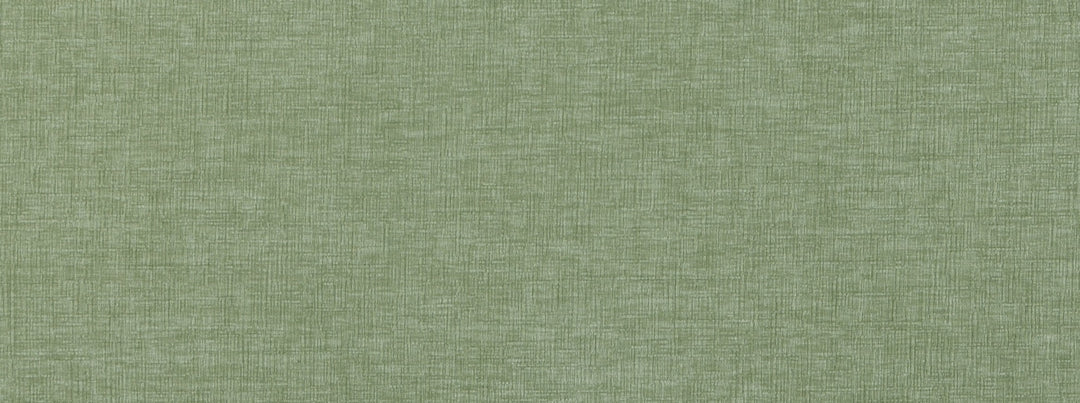Baras 203 Aloe by Covington Designer Fabric