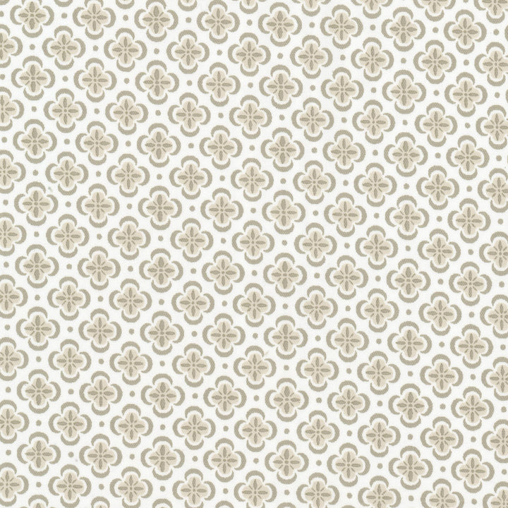 Basilica 4 Putty by Stout Designer Fabric RAINBOW LIBRARY ALMOND/GRANITE 100%COT INDIA Horizontal: 1.500 and Vertical: 1.500 54 in - Swanky Fabrics -