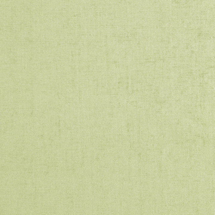 Battle 72J7081 by JF Designer Fabric Winning Weaves V Book 100% Polyester India 195000 Horizontal: and Vertical: 55 - Swanky Fabrics -