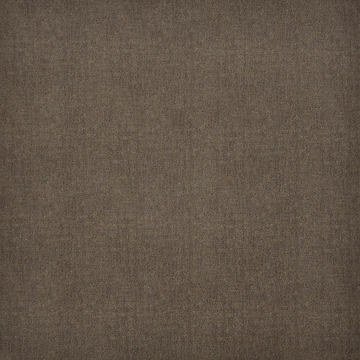 Baxter-Ess # 100 Earth by Maxwell Designer Fabric Upholstery Essentials-Textures Iii-Microfiber 100% POLYESTER CHINA 56" - Swanky Fabrics -