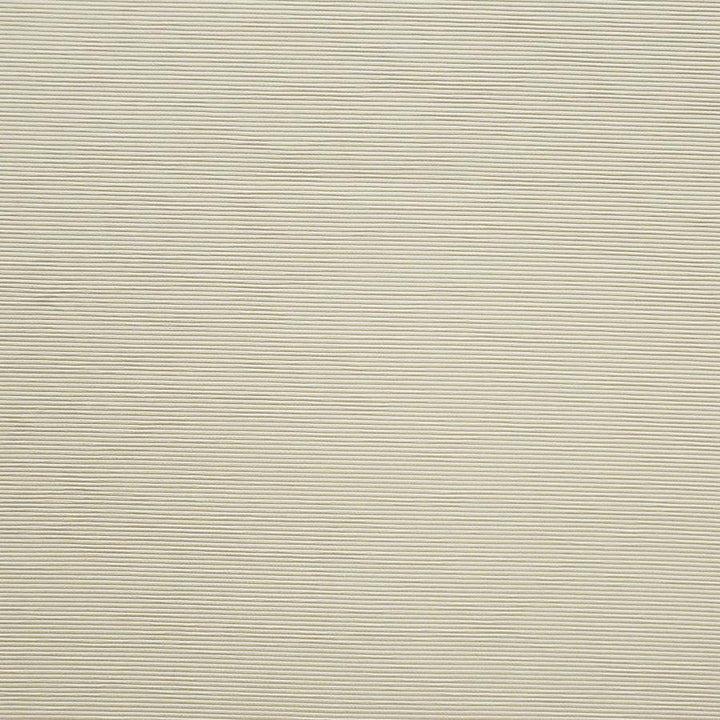 Bursa # 04 Beach by Maxwell Designer Fabric Pure & Simple X 72% RAYON/28% POLYESTER CHINA 56" - Swanky Fabrics -