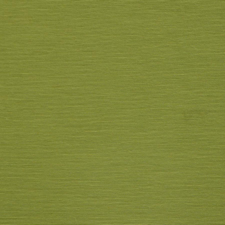 Bursa # 24 Sprout by Maxwell Designer Fabric Pure & Simple X 72% RAYON/28% POLYESTER CHINA 56" - Swanky Fabrics -