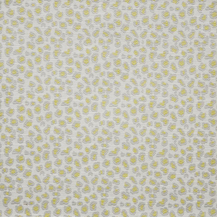Bop # 410 Lemon by Maxwell Designer Fabric Upholstery Palettes-Mimosa 100% POLYESTER CHINA V&H-3.75" 55" - Swanky Fabrics -