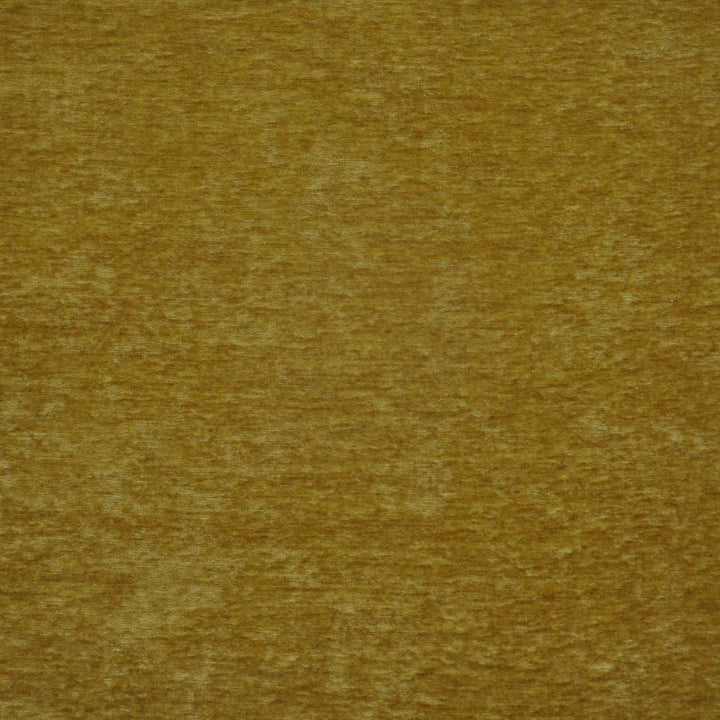Bouton # 733 Gold by Maxwell Designer Fabric Performance Wovens-Vol. V Paintbrush 100% POLYESTER CHINA 56" - Swanky Fabrics -