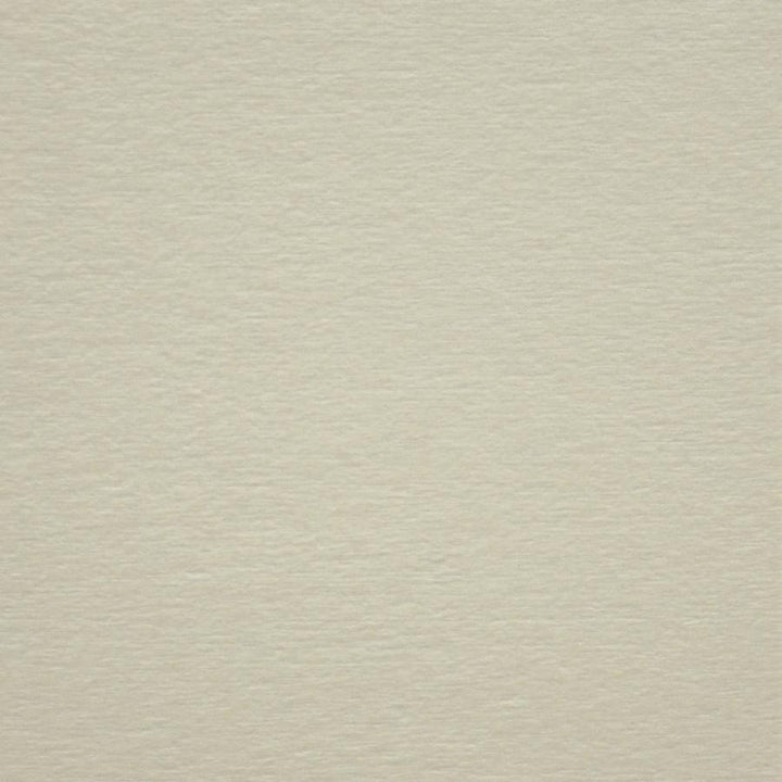 Bouton # 929 Swan by Maxwell Designer Fabric Performance Wovens-Vol. V Silver Sun 100% POLYESTER CHINA 56" - Swanky Fabrics -