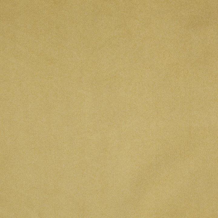 Billiard # 18 Hay by Maxwell Designer Fabric Performance Velvets-Vol.Iii 100% POLYESTER TURKEY 54" - Swanky Fabrics -