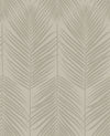 Persei Palm Champagne BD50003 by Seabrook Designs Designer Wallpaper