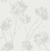 Wild Grass Chardonnay BD50200 by Seabrook Designs Designer Wallpaper