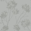 Wild Grass Silversmoke BD50210 by Seabrook Designs Designer Wallpaper