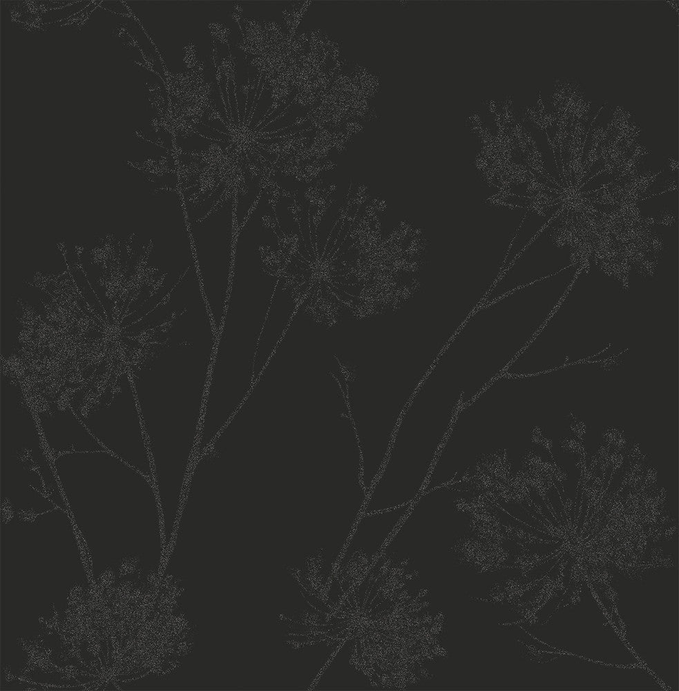 Wild Grass Midnight Galaxy BD50220 by Seabrook Designs Designer Wallpaper