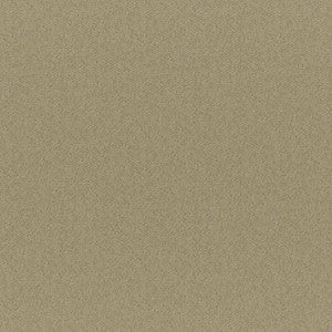 Bruno # 213 Dune by Maxwell Designer Fabric