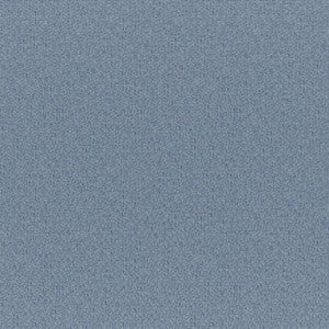 Bruno # 819 Baby by Maxwell Designer Fabric