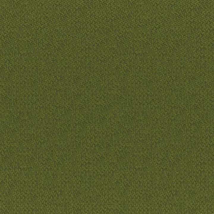 Bruno # 835 Palm by Maxwell Designer Fabric Colorguard-Amazonia 100% POLYESTER CHINA 55.9" - Swanky Fabrics -