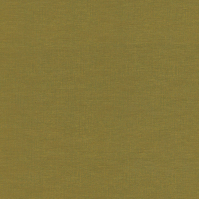 Beaton-Nj # 715 Cactus by Maxwell Designer Fabric Memos Only-Coated Fabrics FACE: 100% SILICONE
BACKING: 100% POLYESTER KOREA 54" - Swanky Fabrics -
