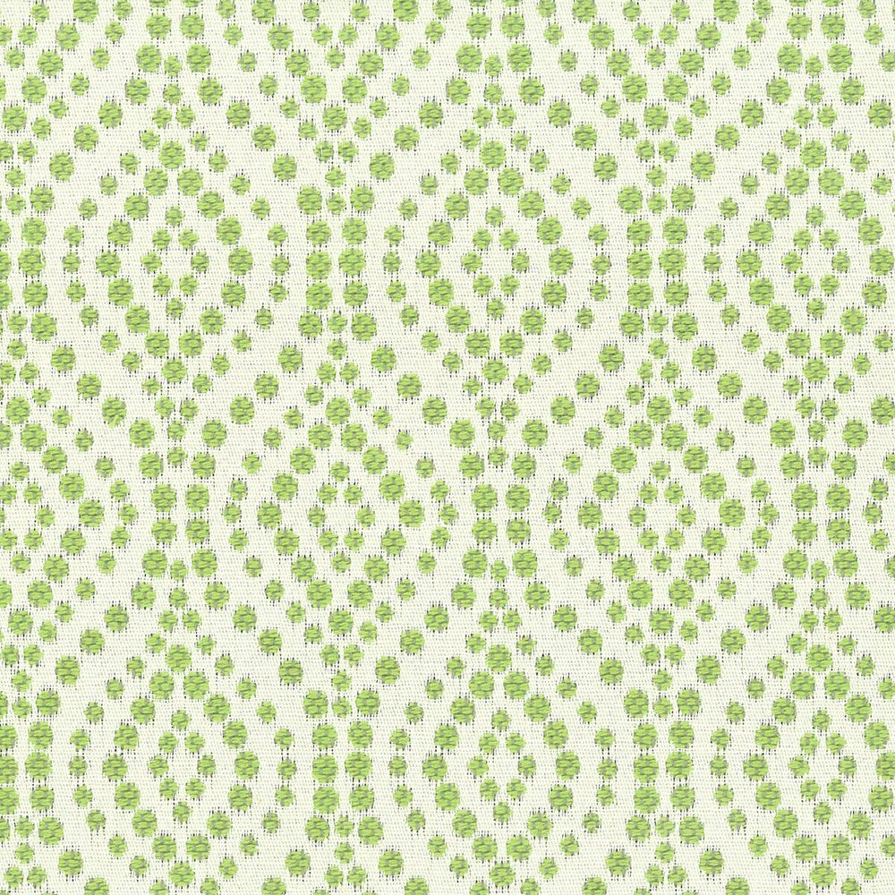 Beads 1 Spring by Stout Designer Fabric RAINBOW LIBRARY LEAF/LAVENDER 63%COT 37%POL TURKEY CATB 117-2013 WYZENBEEK 50 000 DOUBLE RUB WEAR TEST (HEAVY DUTY) </p><p>Repeat: 3.75 55 in - Swanky Fabrics -