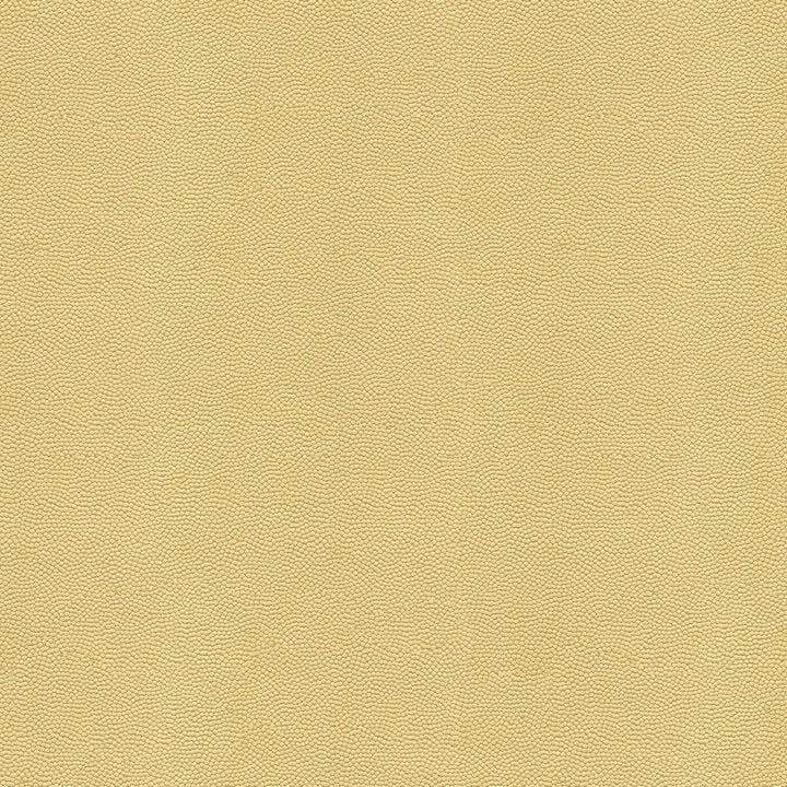 Beautymark Fog by Kravet Couture Fabric Kravet Couture Fabric Beautymark FogFabric NYLON - 100% Japan </p><p>Repeat: H: 4, V: 10 54 - Fabric Carolina -