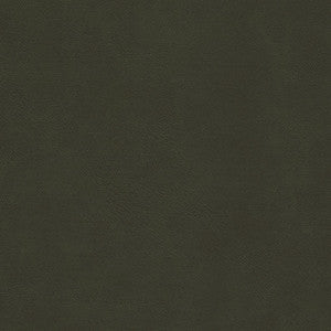 Boyden-Nj # 929 Guerrila by Maxwell Designer Fabric