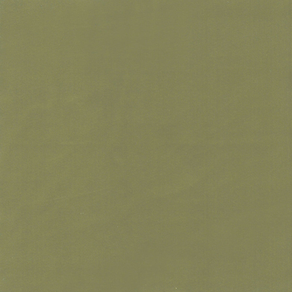 Beechwood 15 Pistachio by Marcus William Fabric Marcus William Fabric Beechwood 15 PistachioFabric KAI/MARCUS WILLIAM KOJI 100%POL INDIA </p><p>Repeat: H: 0.000, V: 0.000 55 in - Fabric Carolina -