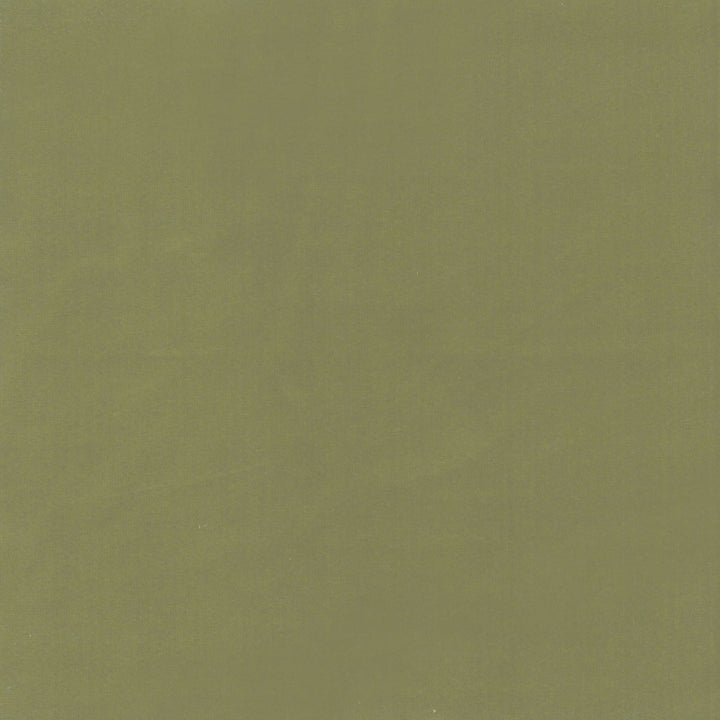 Beechwood 15 Pistachio by Marcus William Fabric Marcus William Fabric Beechwood 15 PistachioFabric KAI/MARCUS WILLIAM KOJI 100%POL INDIA </p><p>Repeat: H: 0.000, V: 0.000 55 in - Fabric Carolina -