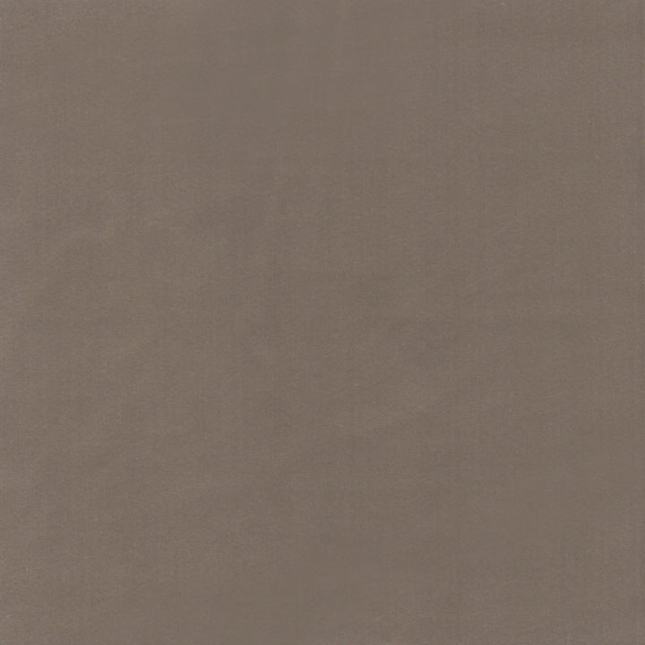 Beechwood 22 Mushroom by Marcus William Fabric Marcus William Fabric Beechwood 22 MushroomFabric KAI/MARCUS WILLIAM KOJI 100%POL INDIA </p><p>Repeat: H: 0.000, V: 0.000 55 in - Fabric Carolina -