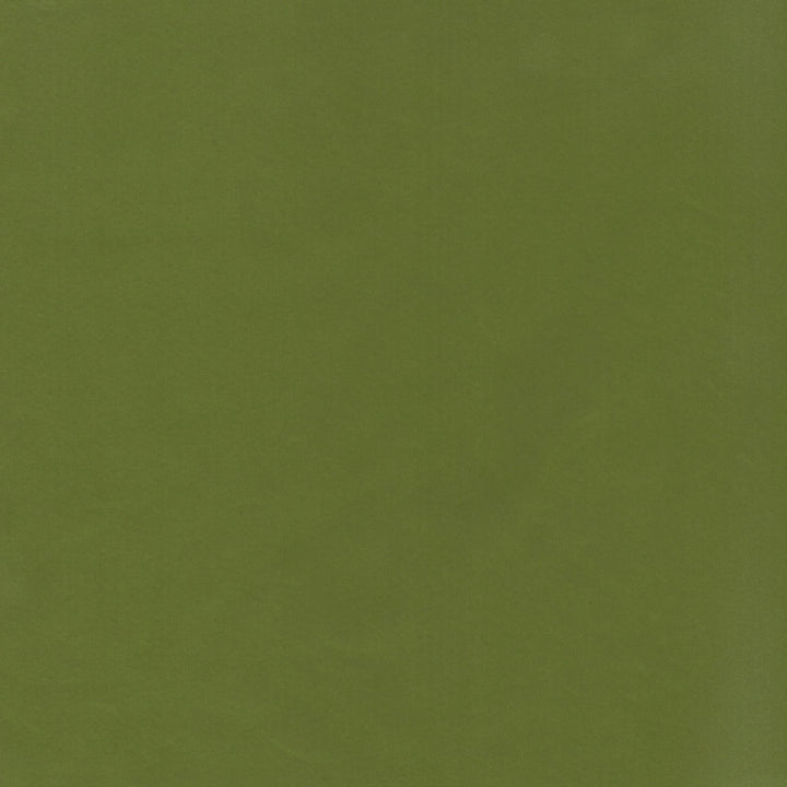 Beechwood 36 Dill by Marcus William Fabric Marcus William Fabric Beechwood 36 DillFabric KAI/MARCUS WILLIAM KOJI 100%POL INDIA </p><p>Repeat: H: 0.000, V: 0.000 55 in - Fabric Carolina -