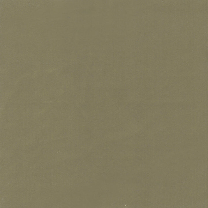 Beechwood 4 Chive by Marcus William Fabric Marcus William Fabric Beechwood 4 ChiveFabric KAI/MARCUS WILLIAM BOTANICAL ESCAPE 100%POL INDIA </p><p>Repeat: H: 0.000, V: 0.000 55 in - Fabric Carolina -