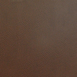 Buckeye # 719 Fudge by Maxwell Designer Fabric