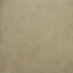 Buckeye # 766 Haze by Maxwell Designer Fabric