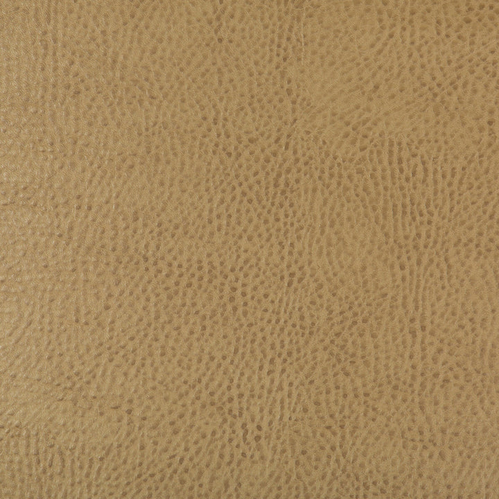 Beholder-16 by Kravet Design Designer Fabric - POLY VINYL CHLORIDE - 79%;POLYESTER - 21% China HEAVY Horizontal: 0 and Vertical: 0 54 - Swanky Fabrics -