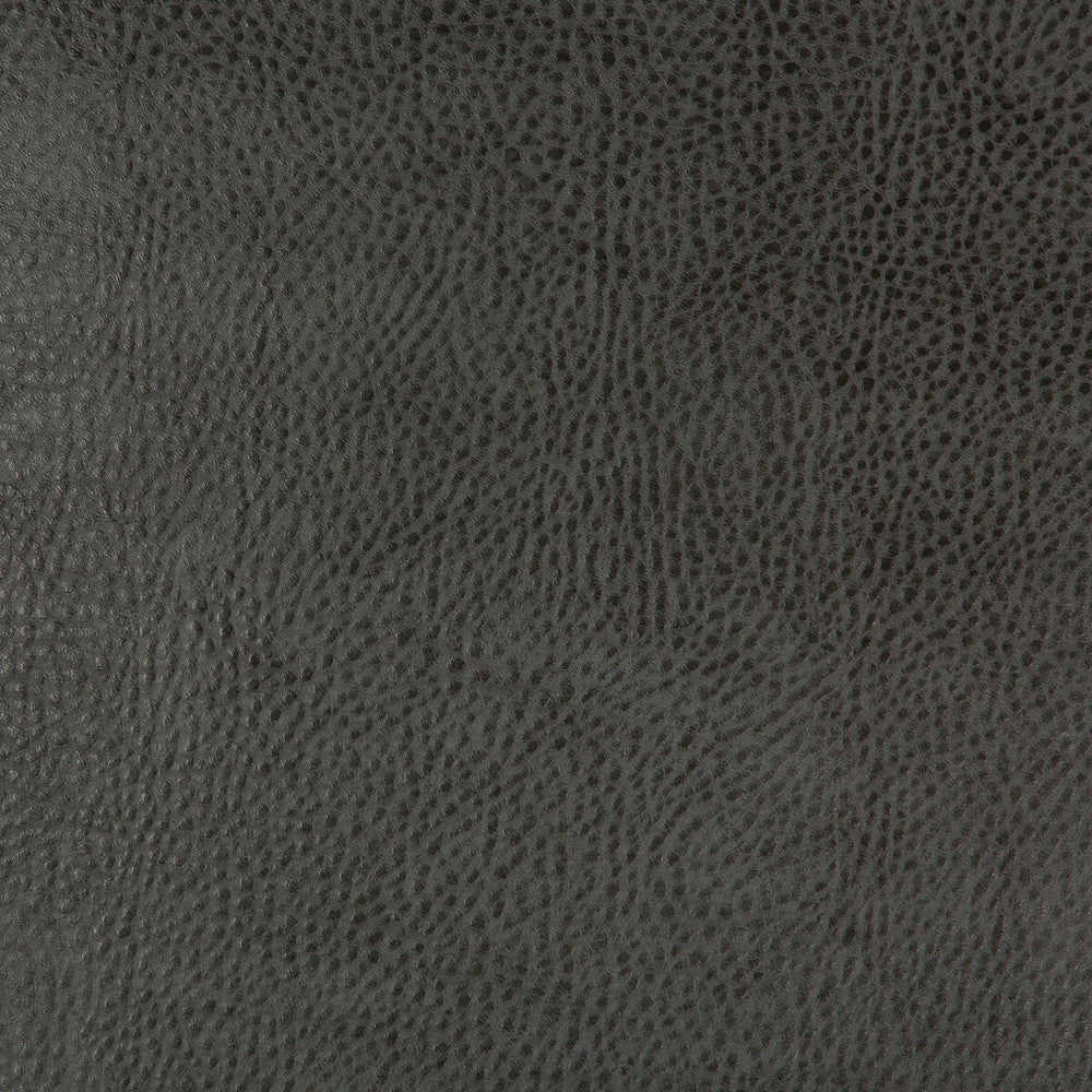Beholder-21 by Kravet Design Designer Fabric POLY VINYL CHLORIDE - 79%;POLYESTER - 21% China HEAVY Horizontal: 0 and Vertical: 0 54 - Swanky Fabrics -