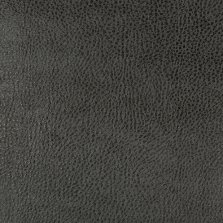 Beholder-21 by Kravet Design Designer Fabric POLY VINYL CHLORIDE - 79%;POLYESTER - 21% China HEAVY Horizontal: 0 and Vertical: 0 54 - Swanky Fabrics -