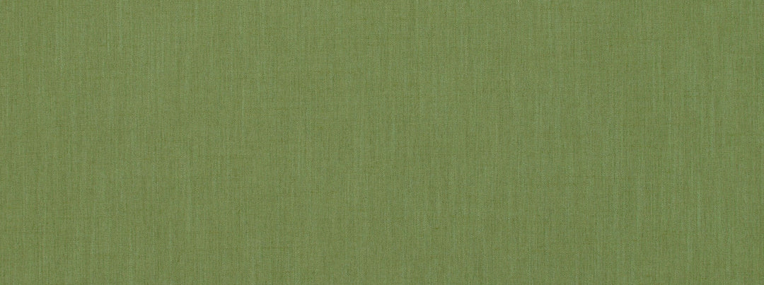 Belfast 232 Palm by Covington Designer Fabric