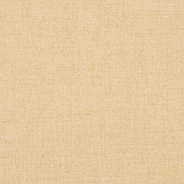Belleville 11J7031 by JF Crypton Designer Fabric Crypton Binder 100% Polyester Taiwan 50000 Horizontal: and Vertical: 54 - Swanky Fabrics -