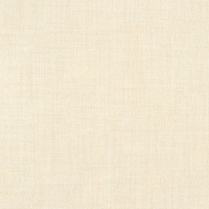 Belleville 91J7031 by JF Crypton Designer Fabric Crypton Binder 100% Polyester Taiwan 50000 Horizontal: and Vertical: 54 - Swanky Fabrics -