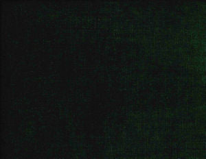 Belmont Jungle 338 by Norbar Designer Fabric