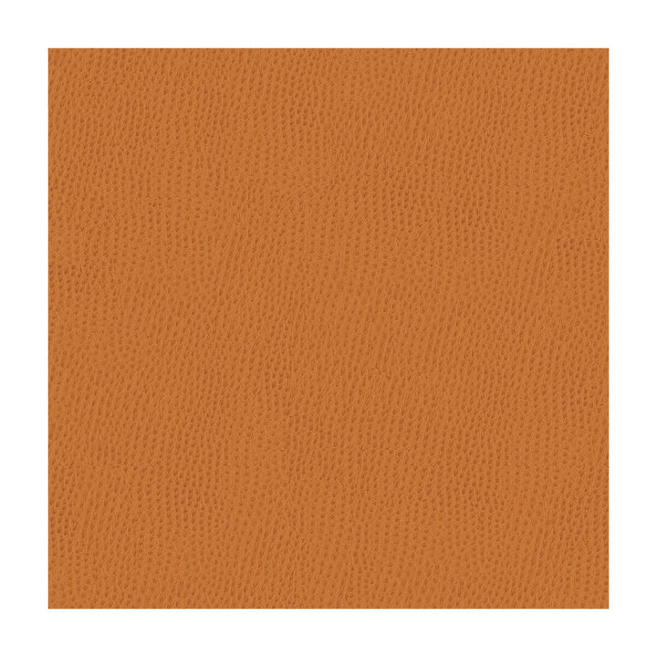 Belus-212 by Kravet Contract Designer Fabric - POLY VINYL CHLORIDE - 100% Taiwan HEAVY Horizontal: - and Vertical: - 54 - Swanky Fabrics -