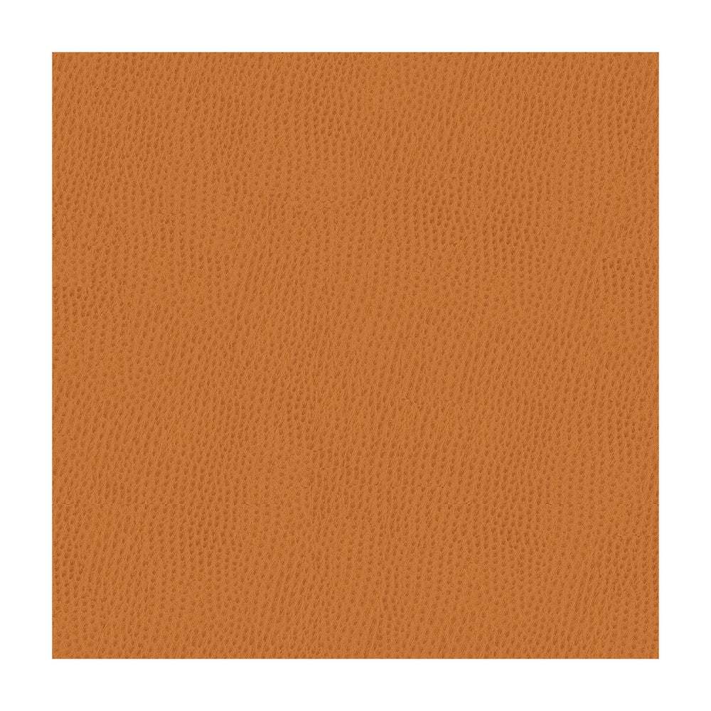 Belus-212 by Kravet Contract Designer Fabric POLY VINYL CHLORIDE - 100% Taiwan HEAVY Horizontal: and Vertical: 54 - Swanky Fabrics -