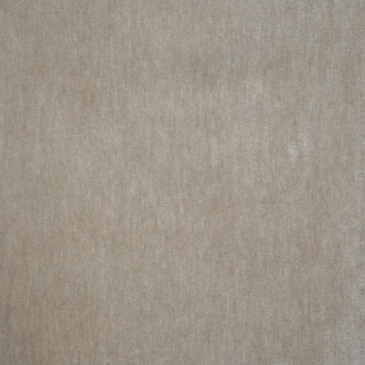 Belluno # 116 Dove by Maxwell Designer Fabric Telafina Season Xvi 50% MOHAIR
50% ACRYLIC TURKEY 55.5" - Swanky Fabrics -