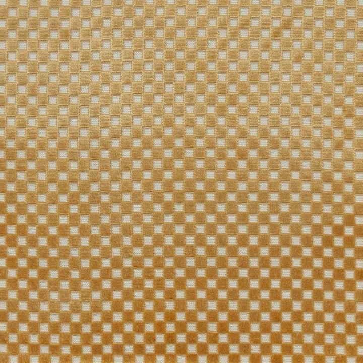 Bolzano # 636 Midas by Maxwell Designer Fabric Performance Cut Velvets 72% VISCOSE
23% POLYESTER
5% COTTON BELGIUM V-0.9"H- 0.8" 55" - Swanky Fabrics -
