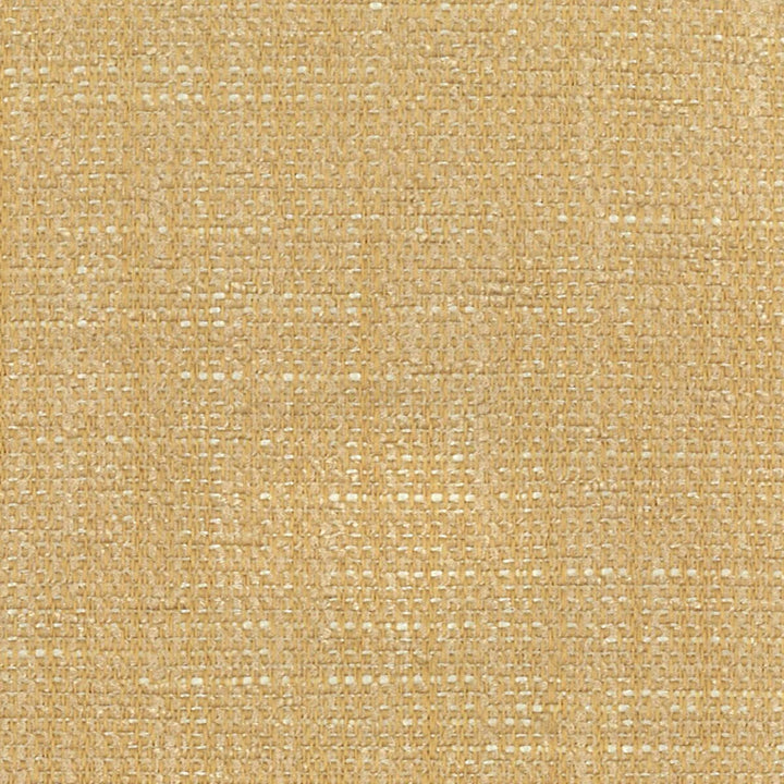 Berlin 15 Sand by Stout Designer Fabric PAINT THE TOWN 100%POL CHINA FLAME RETARDANT-U.F.A.C. CLASS 1 CATB 117-2013 WYZENBEEK 45 000 DOUBLE RUB WEAR TEST (HEAVY DUTY) Horizontal: 0 and Vertical: 0 57 in - Swanky Fabrics -